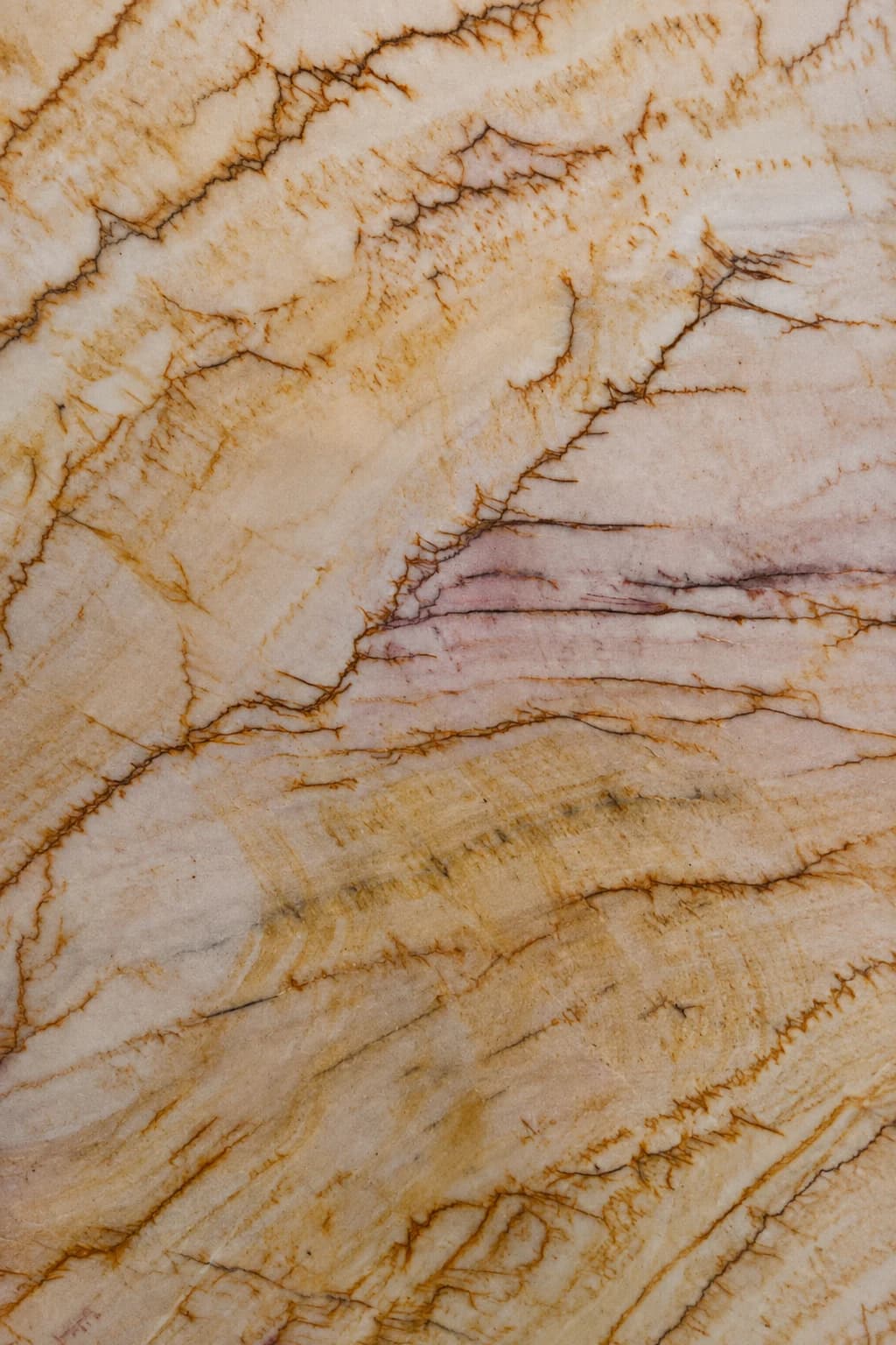 Textura Negroni
